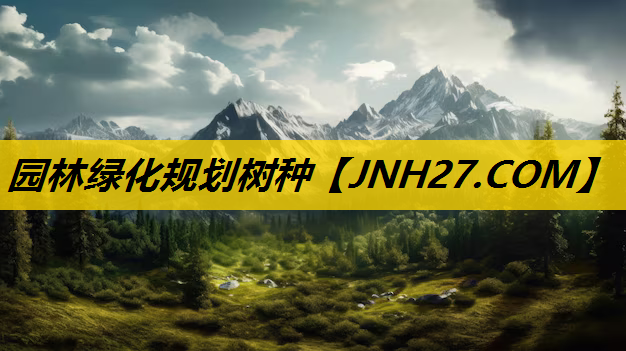 园林绿化规划树种